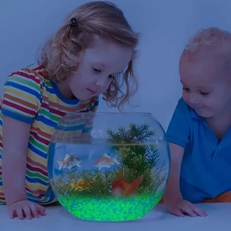 1000pcs 3-5mm Luminous Sand Gl - đánh giá và giá Aquarium Fish Gallery