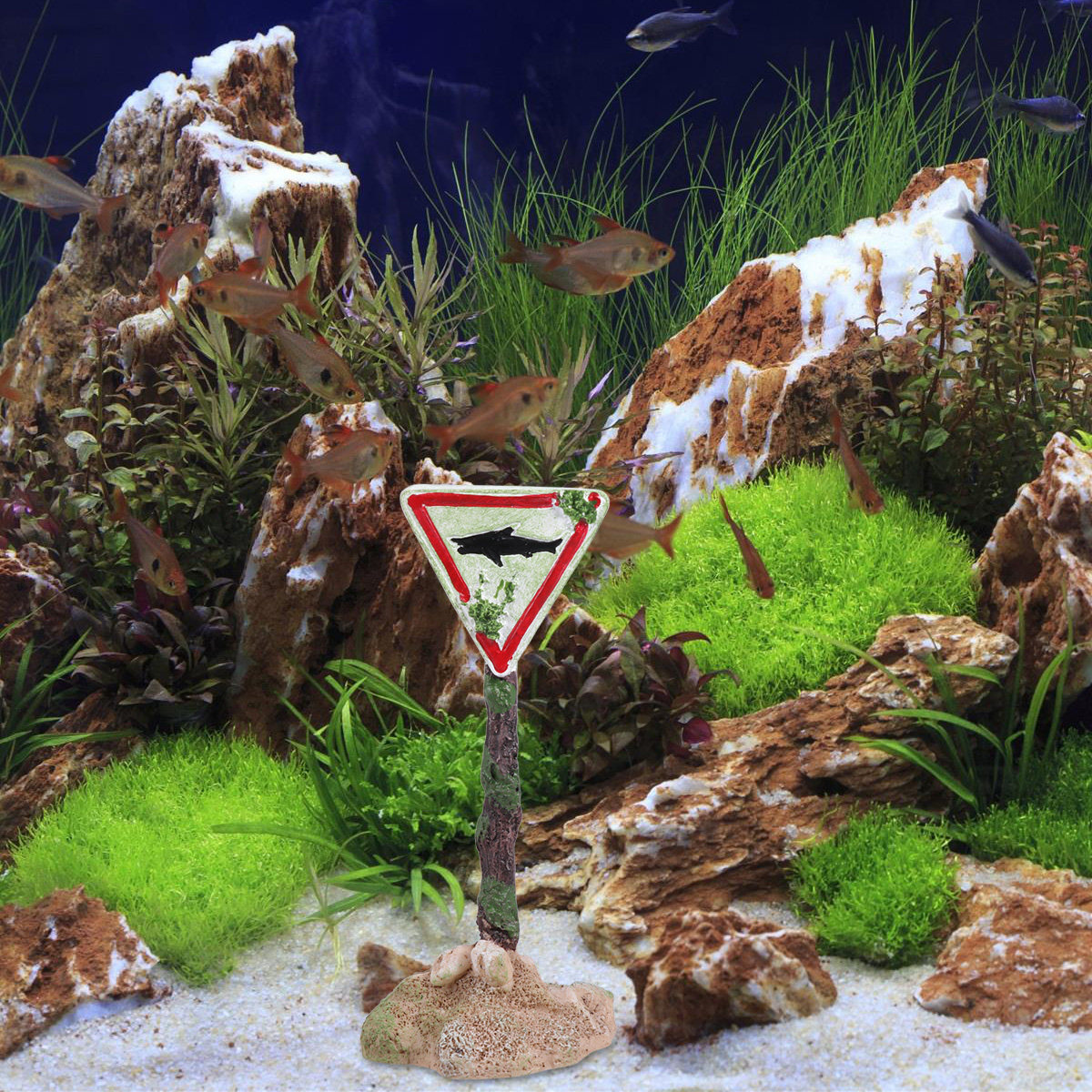 Cartoon Resin Fish Tank Warnin - đánh giá và giá Aquarium Fish Unique