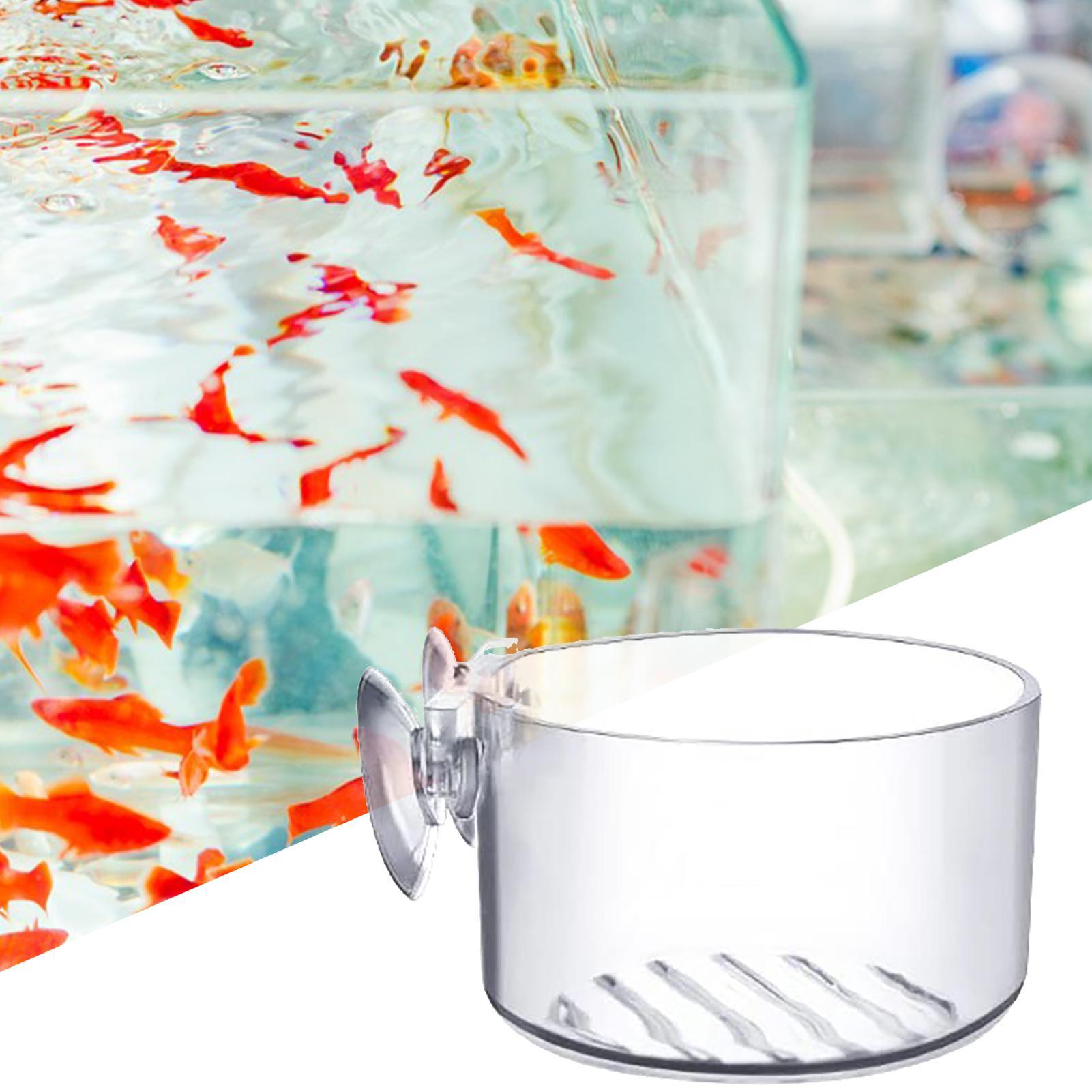 Suction Aquarium Plant Holder  - đánh giá và giá Aquarium Fish Beautiful
