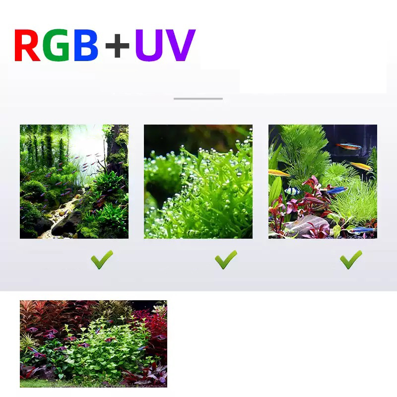 Led Lighting 60cm 80cm 90cm RG - đánh giá và giá Aquarium Fish Sale