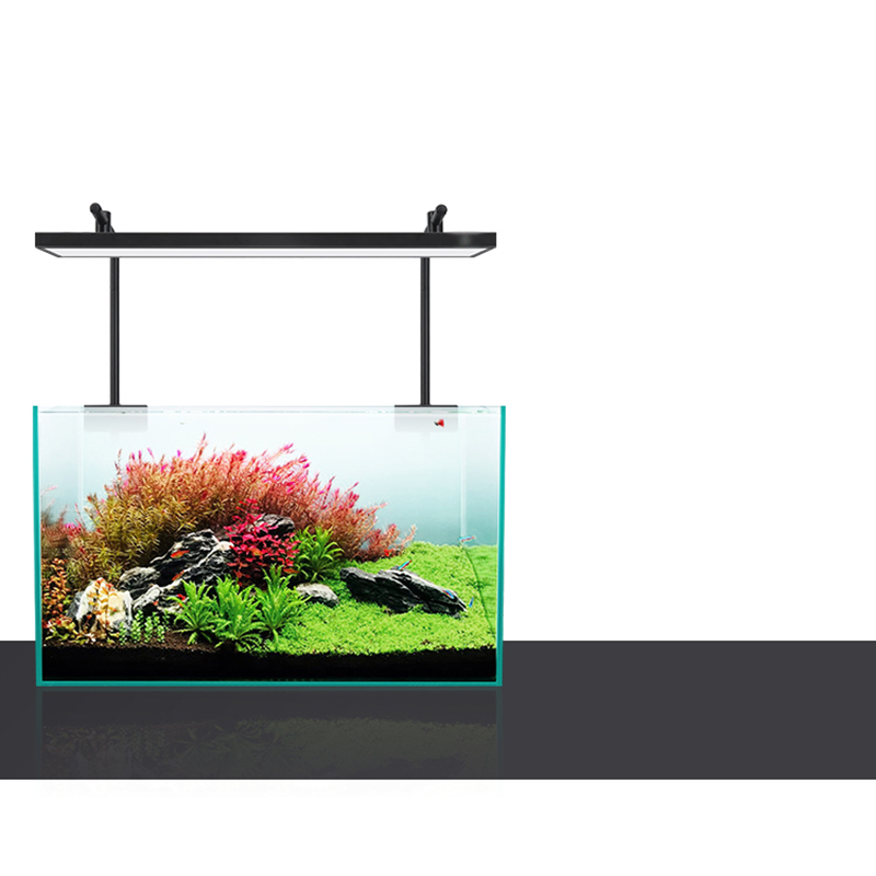 Led Lighting 60cm 80cm 90cm RG - đánh giá và giá Aquarium Fish Sale