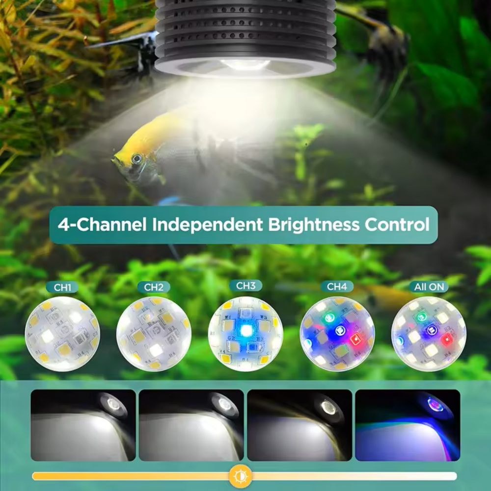 Lominie Asta 20 Freshwater 18W - đánh giá và giá Refugium Light Nano