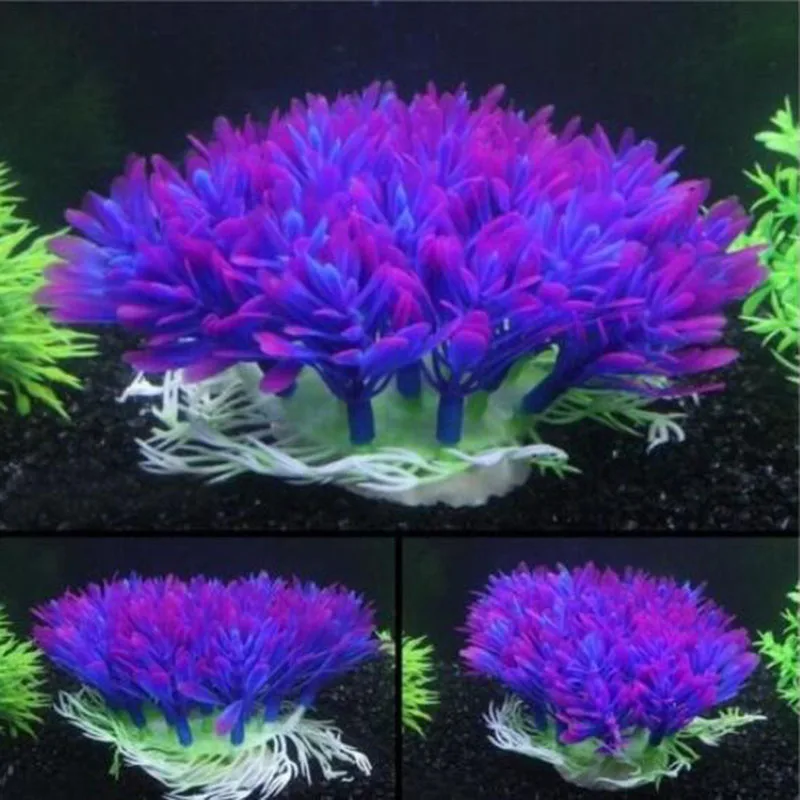 Artificial Wide Short Fish Tan - đánh giá và giá Aquarium Fish Beautiful