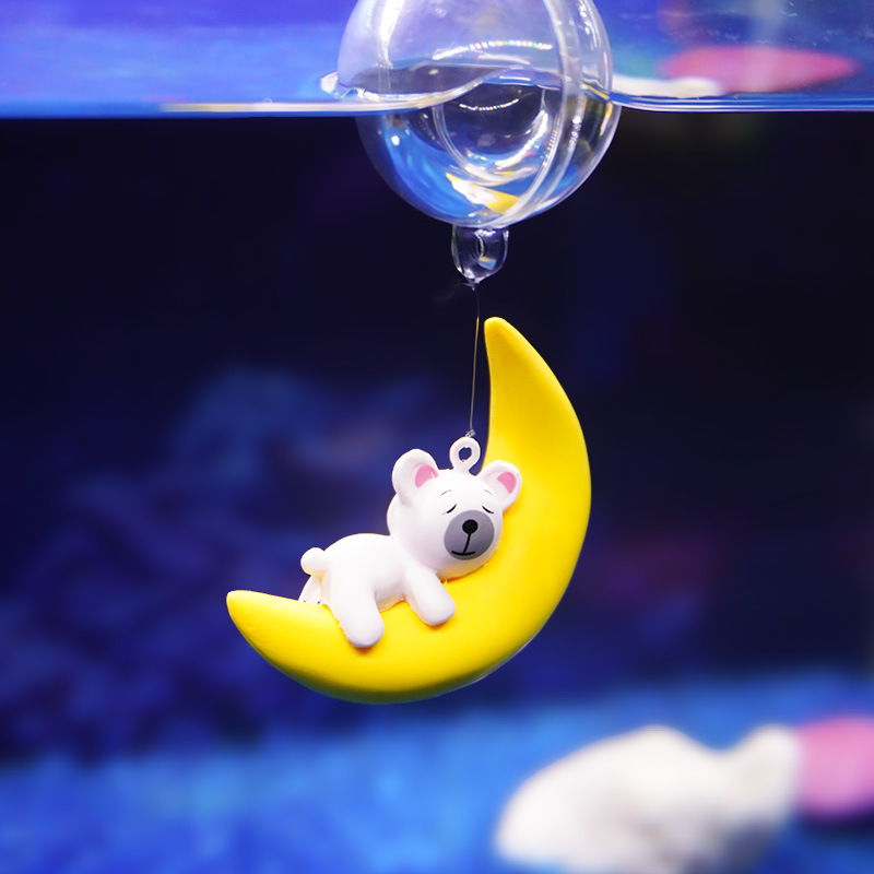 Aquarium Lovers Moon Bear Dive - đánh giá và giá Aquarium Fish Of The World