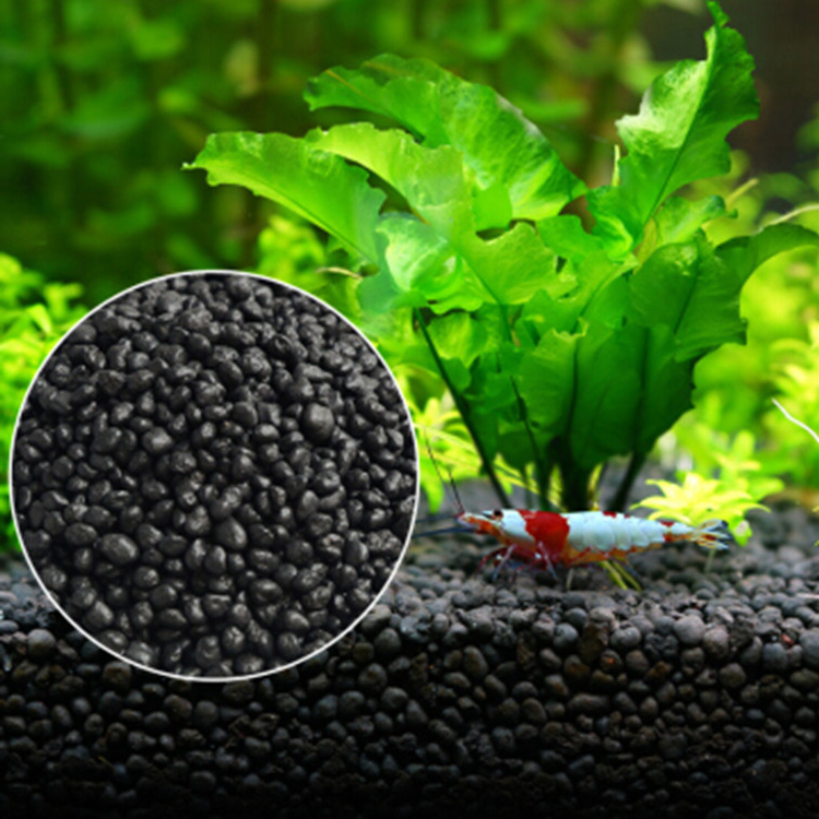 Bể Cá Cảnh Vật Có Hạt Đất Fish - đánh giá và giá Aquarium Fish Gallery