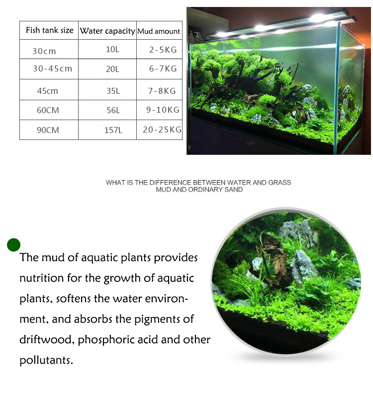 Bể Cá Cảnh Vật Có Hạt Đất Fish - đánh giá và giá Aquarium Fish Gallery