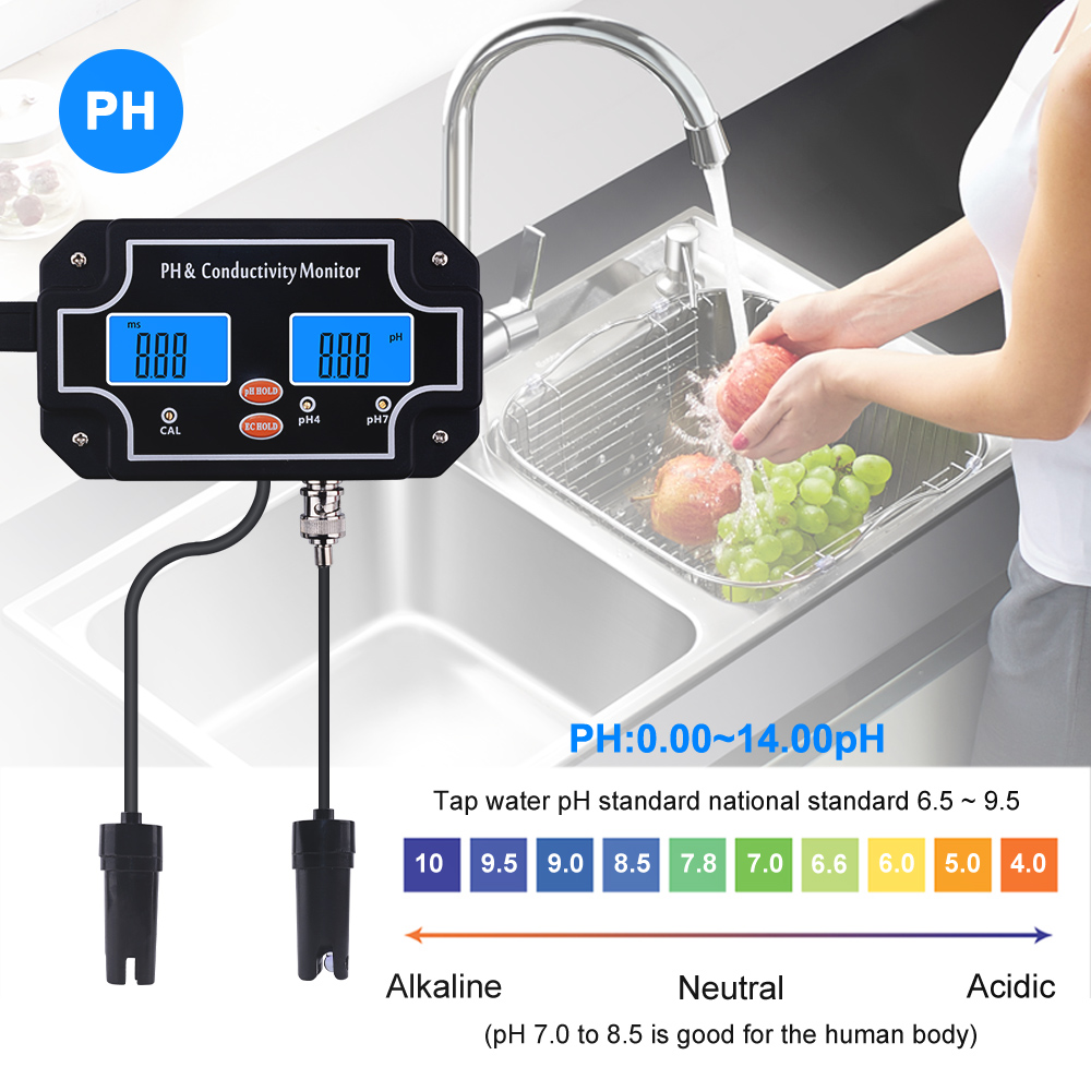Yieryi Kỹ Thuật Số Trực Tuyến  - đánh giá và giá Aquarium Fish In Online