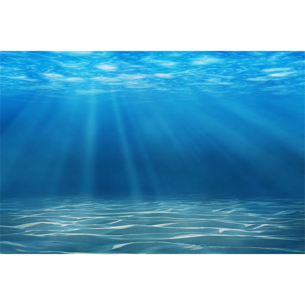 Underwater World Seabed Photog - đánh giá và giá Aquarium Fish Of The World