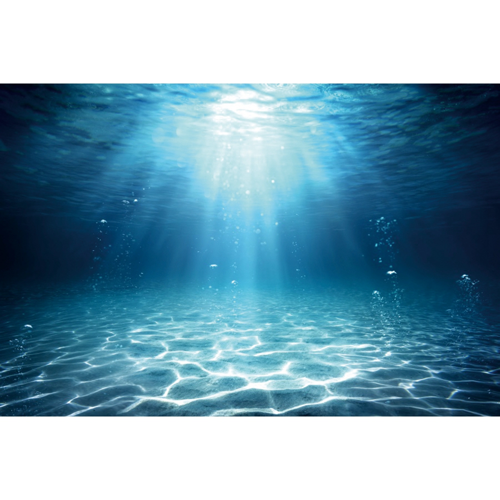 Underwater World Seabed Photog - đánh giá và giá Aquarium Fish Of The World