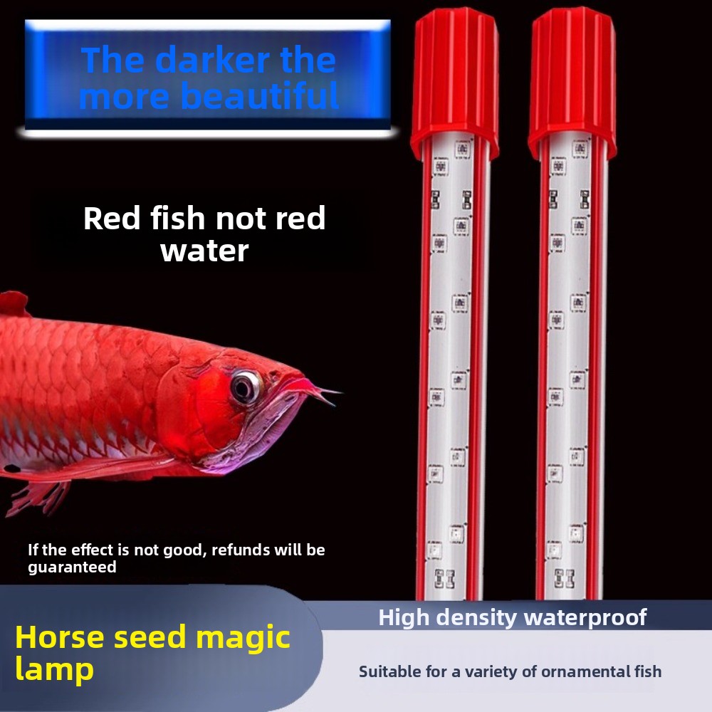 Hair Color Light Three Primary - đánh giá và giá Aquarium Fish Dragon