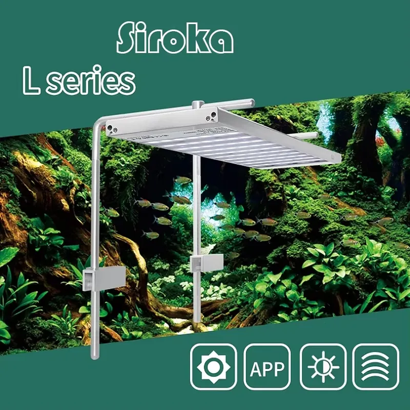 Hot Sale Silver 55W-110W Dimma - đánh giá và giá Aquarium Fish Sale