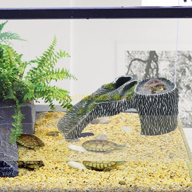 Terrariums Nền tảng phơi nắng  - đánh giá và giá Aquarium Fish Sale