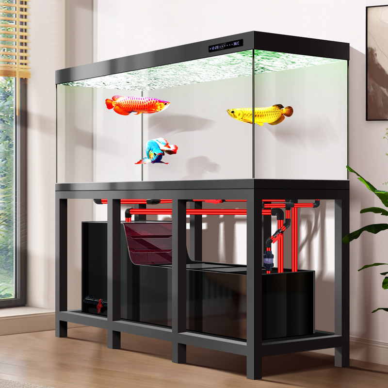 Pipeless Industrial Large Arow - đánh giá và giá Aquarium Fish Low Maintenance