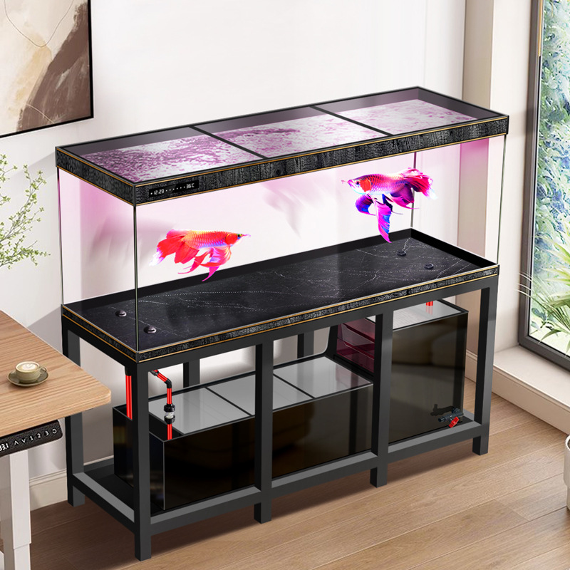 Pipeless Industrial Large Arow - đánh giá và giá Aquarium Fish Low Maintenance