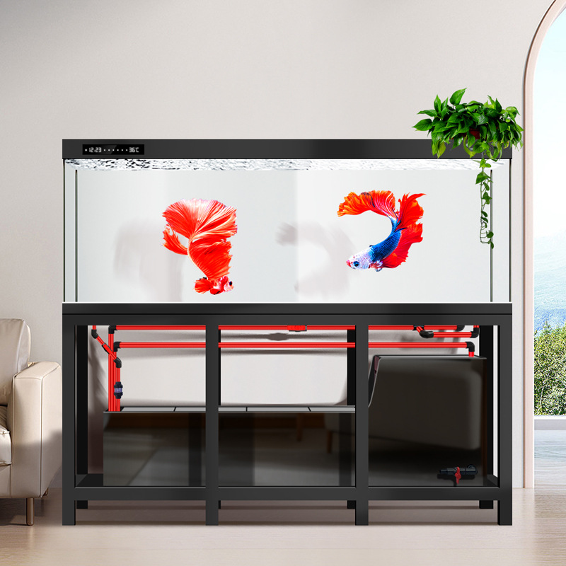 Pipeless Industrial Large Arow - đánh giá và giá Aquarium Fish Low Maintenance