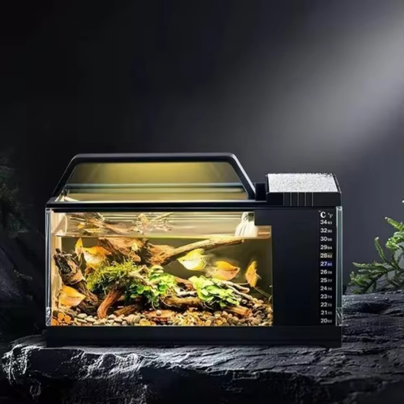 South American Style Aquarium  - đánh giá và giá Aquarium Fish Low Maintenance