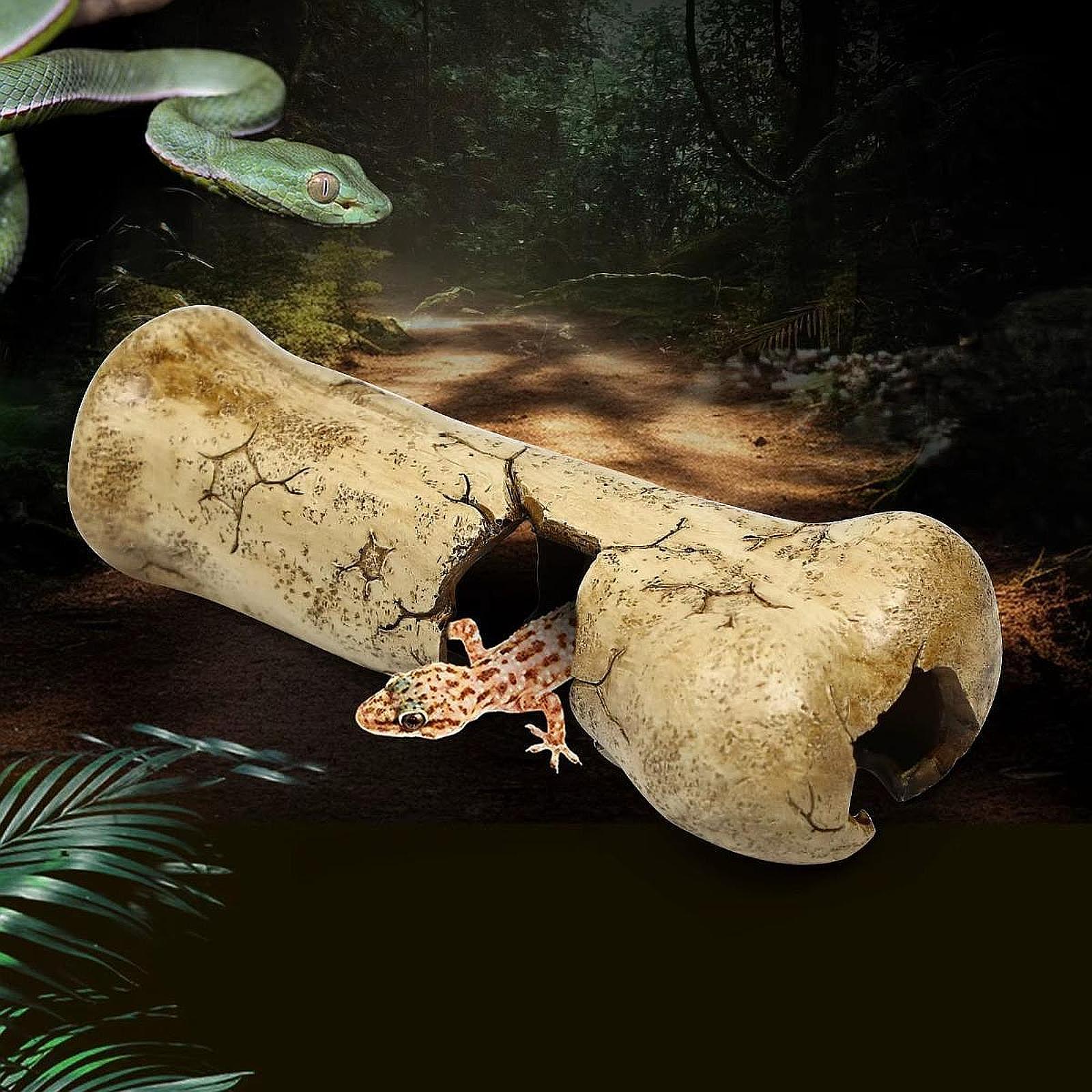 Reptile Rock Hide Cave Shelter - đánh giá và giá Aquarium Fish Dragon