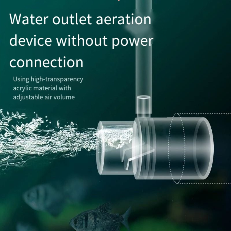 Oxygen Diffuser Pipe Filter At - đánh giá và giá Aquarium Fish Without Oxygen