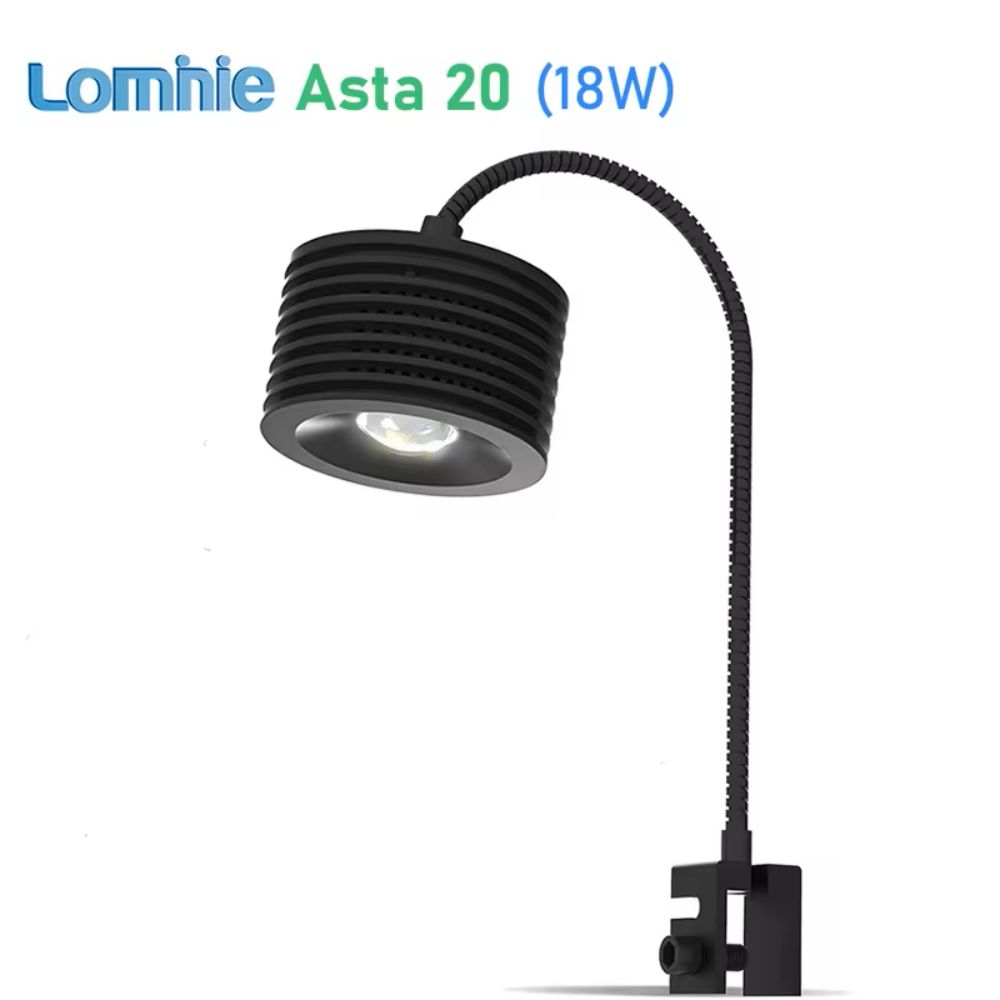 Lominie Asta 20 Freshwater 18W - đánh giá và giá Refugium Light Nano