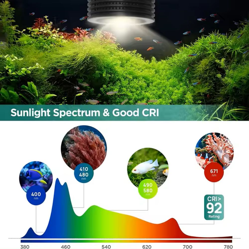 Lominie Asta 20 Freshwater 18W - đánh giá và giá Refugium Light Nano