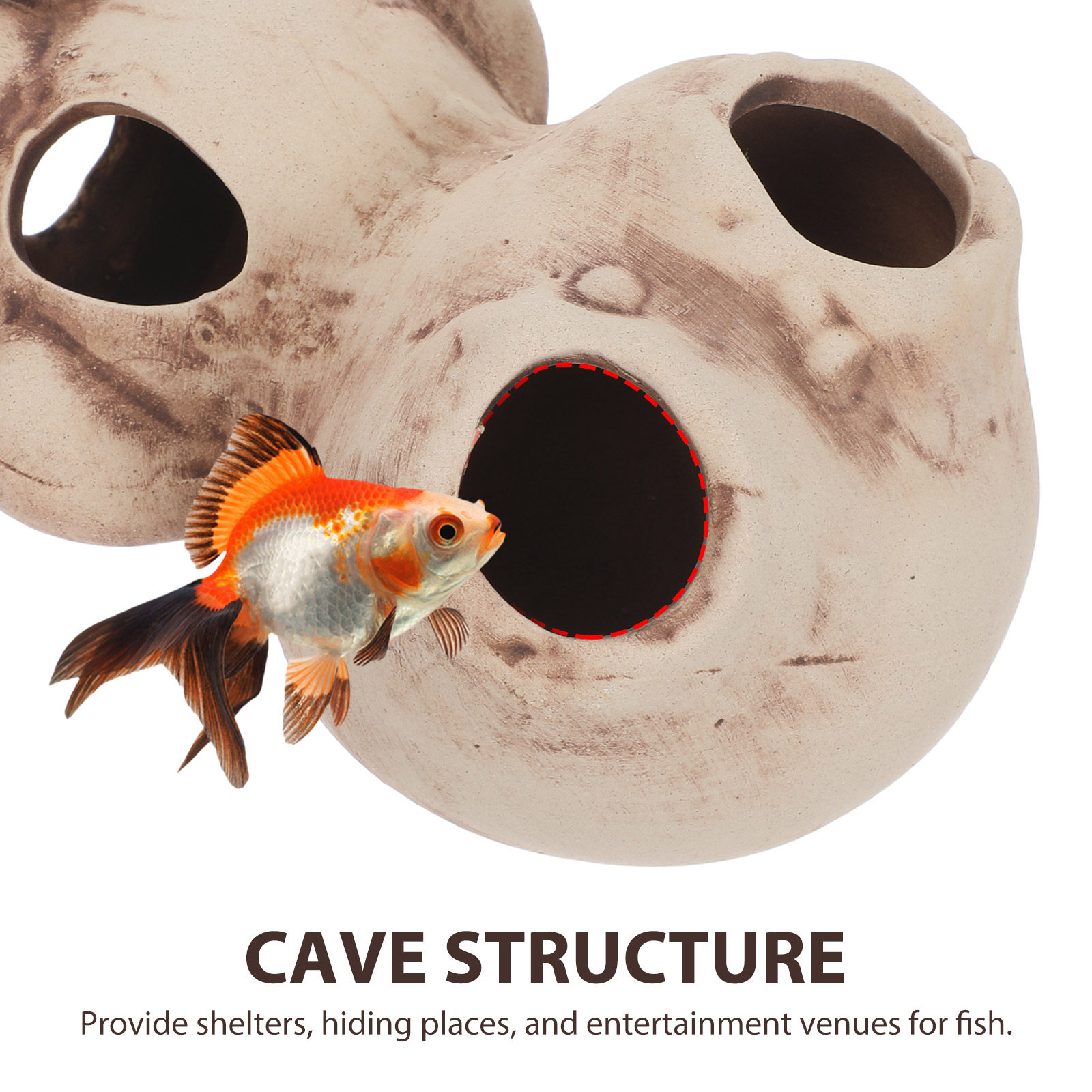 Aquarium Cichlid Cave Fish Tan - đánh giá và giá Aquarium Fish Cichlid