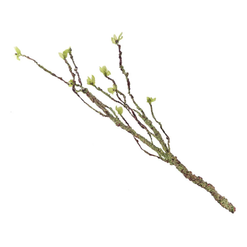 Vines Decor Climbing Branches  - đánh giá và giá Aquarium Fish Gallery