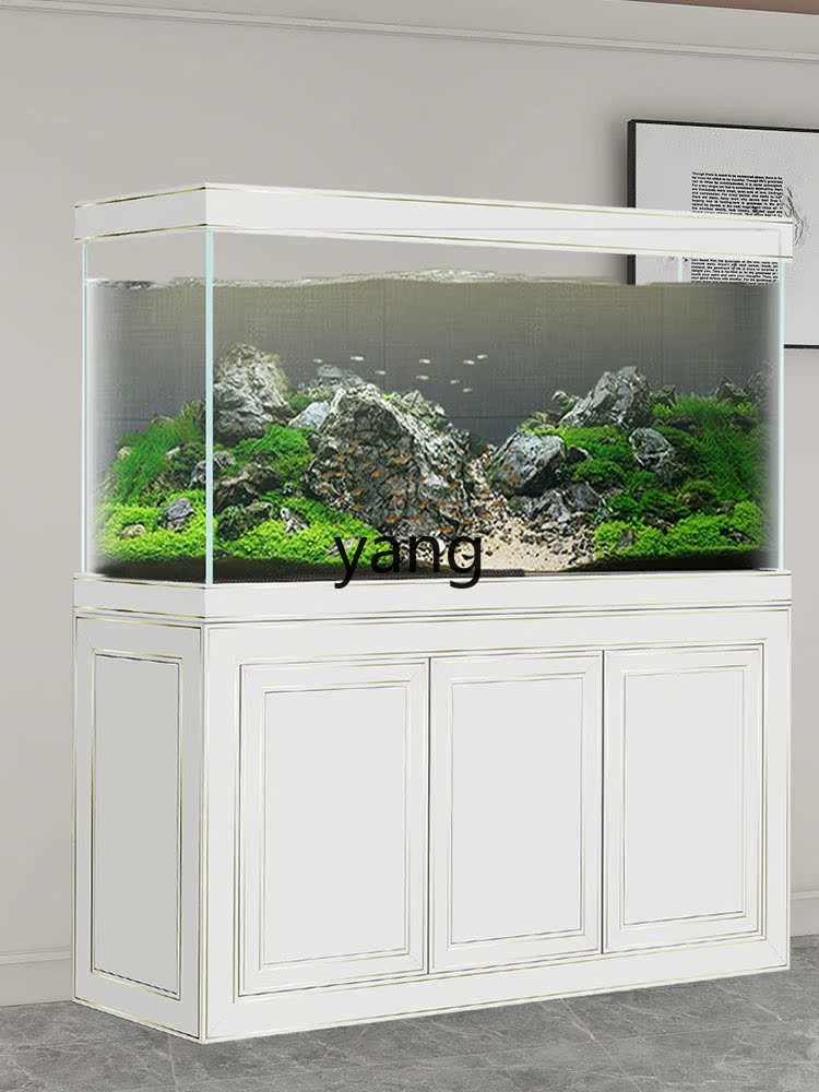 LH Super White Glass Medium an - đánh giá và giá Aquarium Fish Dragon