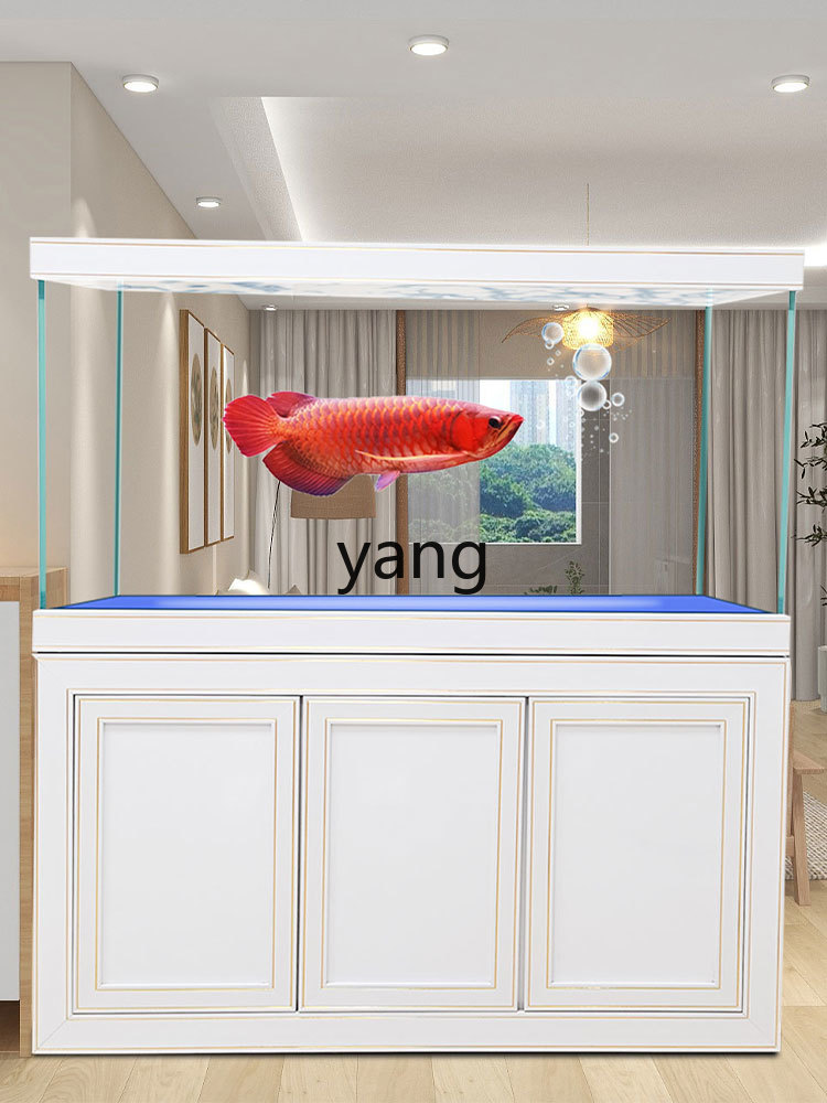 LH Super White Glass Medium an - đánh giá và giá Aquarium Fish Dragon