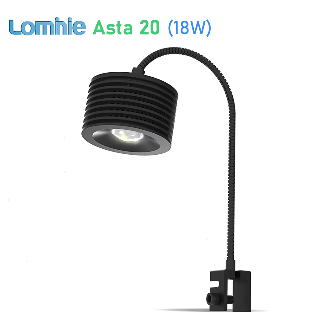 Lominie Asta 20 Freshwater 18W - đánh giá và giá Refugium Light Nano