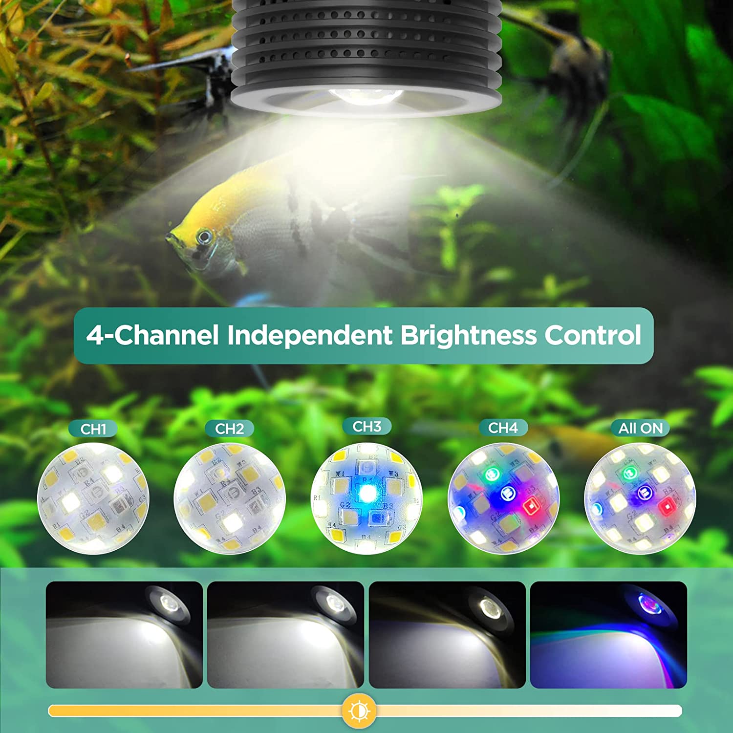 Lominie Asta 20 Freshwater 18W - đánh giá và giá Refugium Light Nano