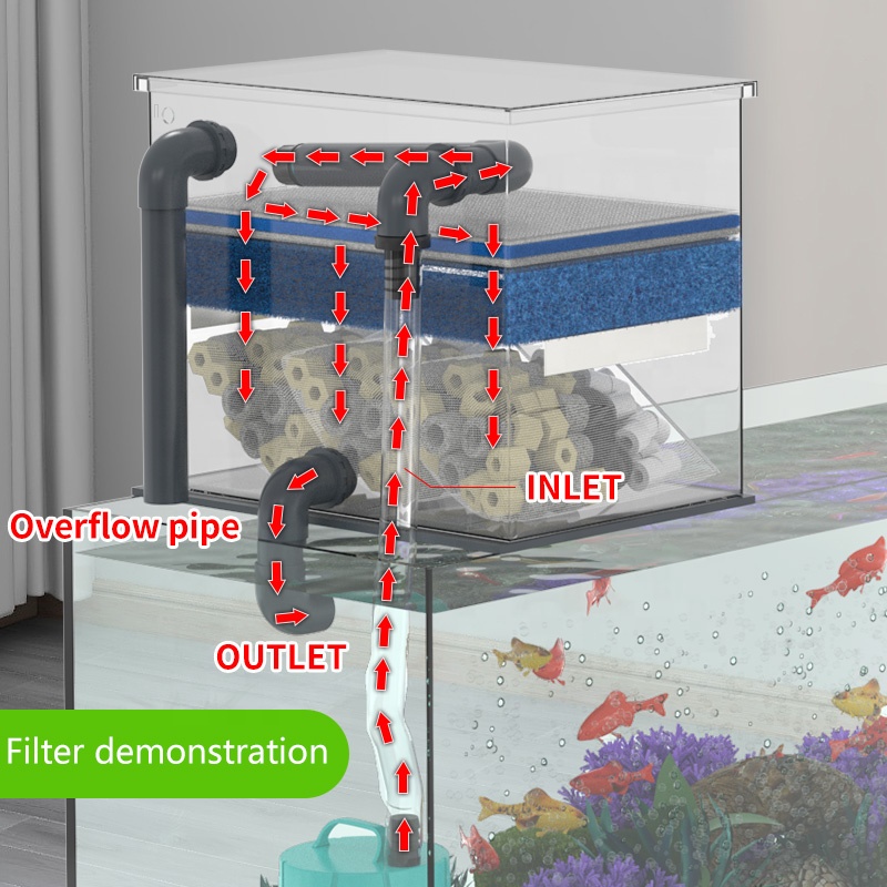 Factory Direct Sales Aquarium  - đánh giá và giá Aquarium Fish Sale