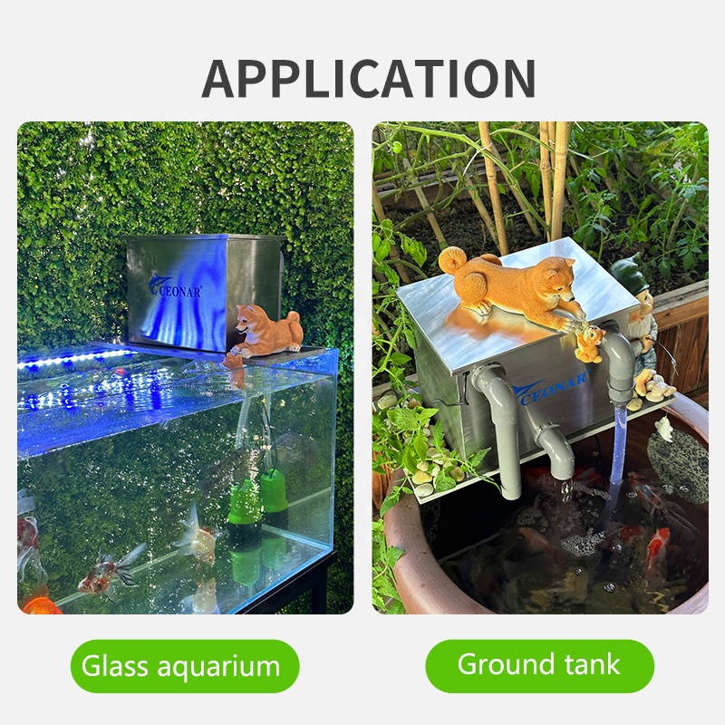 Factory Direct Sales Aquarium  - đánh giá và giá Aquarium Fish Sale