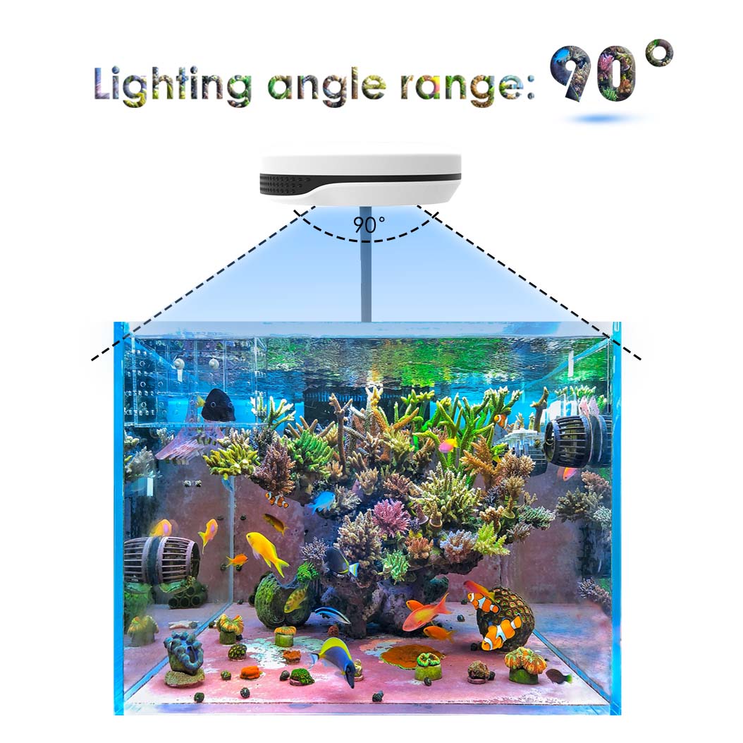 Kẹp Trên 40W Đèn LED Bể Cá Ứng - đánh giá và giá Refugium Light Nano